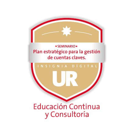 Plan estratégico para la gestión de cuentas claves