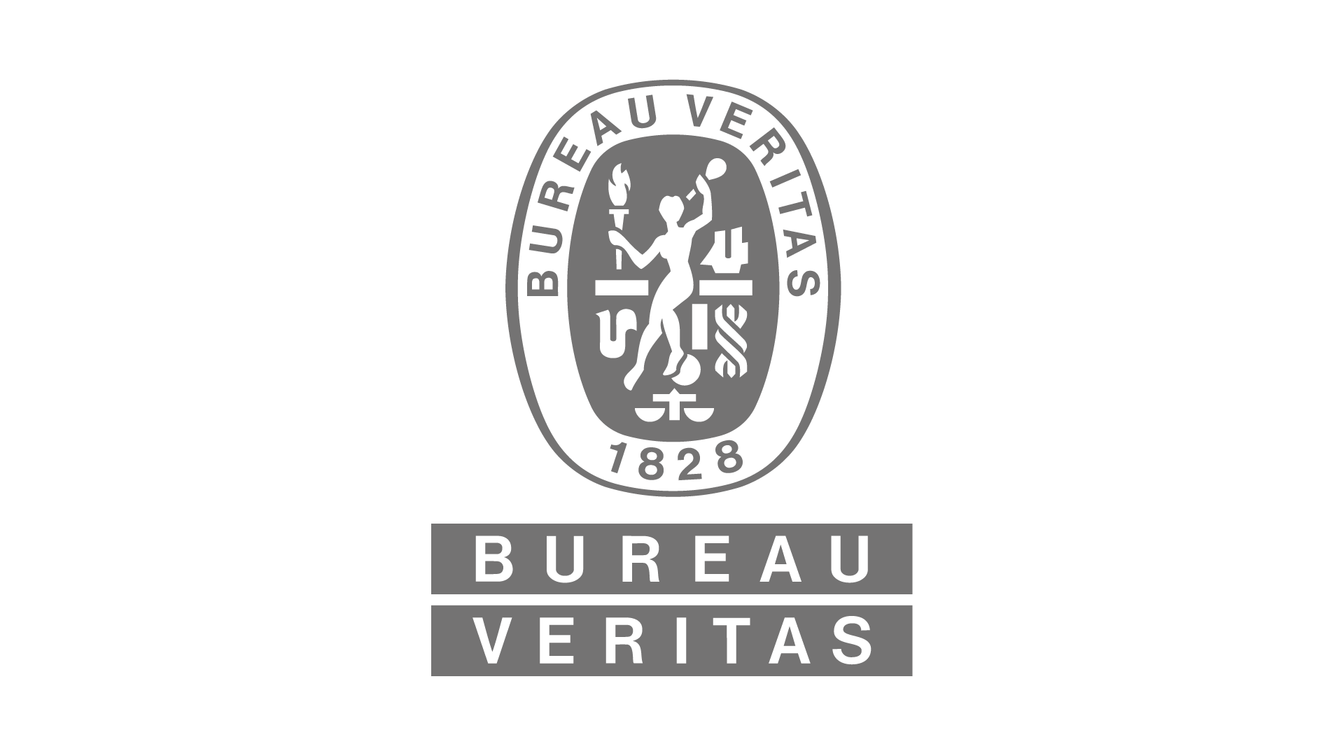 Logo Bureau veritas