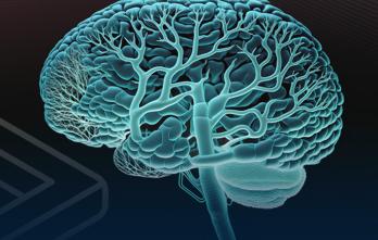 curso-sobre-adn-y-evolucion-del-hombre