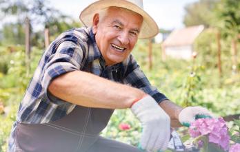 Seminario en Jardinería Apasionada