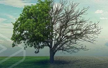 Modelamiento Climático Ambiental
