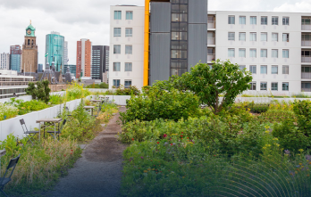 Ecología Urbana y Evolución
