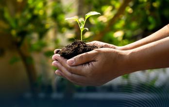 Actualización en Derecho Ambiental: Nuevas Tendencias Jurisprudenciales y Normativas