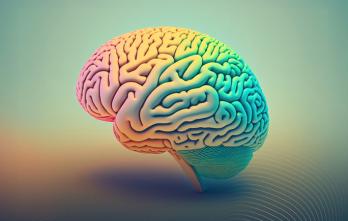 cerebro de colores que se utiliza para el curso especializado para el neuromarketing
