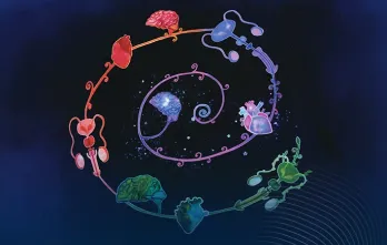 Sexualidades y Sanación desde el Cuerpo-Tierra-Territorio