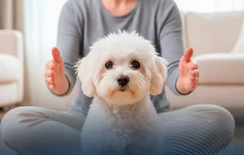 Terapias Holísticas para Animales de Compañía