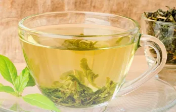 El Andar de la Camelia, Introducción al Mundo del Té