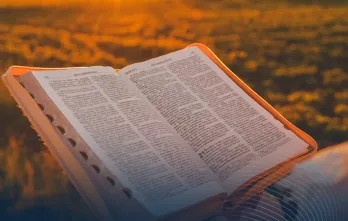 La Biblia, una Introducción: antiguo testamento