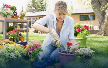 Jardinería: Paisajismo que fomenta la biodiversidad