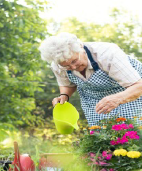 Curso Jardines verticales, muros y techos verdes en casa